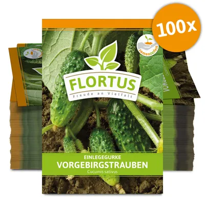 Artikelbild 1 von 'Einlegegurke Vorgebirgstrauben (100 Stück)' aus der Kategorie Einlegegurkensamen