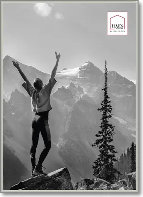Produktbild von Kunststoff-Fotorahmen Haes Deco EF8S Easy Frame Silber 50x70 cm