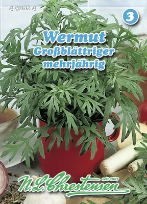 Produktbild von Wermut Großblättriger | Kräutersamen von N.L. Chrestensen