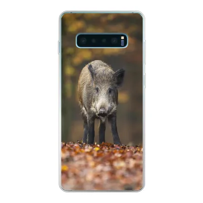 Produktbild von MuchoWow® Handyhülle Schutzhülle Hülle für Samsung Galaxy S10 Plus Wildtier - Wald - Herbst Silikon Softcase Handy Hülle - Schutzhülle