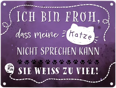 Produktbild von Metallschild in 15x20 cm mit lustigem Spruch - Meine Katze weiß zu viel