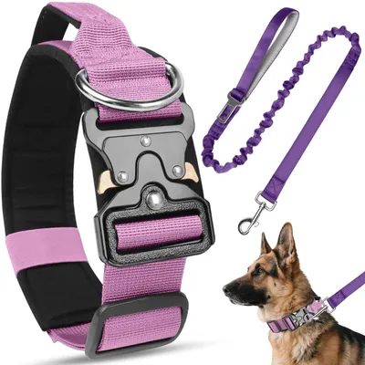 Produktbild von Verstellbares Hundehalsband- und Leinen-Set aus Nylon