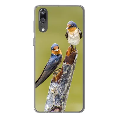 Produktbild von MuchoWow® Handyhülle Schutzhülle Hülle für Huawei P20 Vögel - Zweig - Porträt Silikon Softcase Handy Hülle - Hardcover