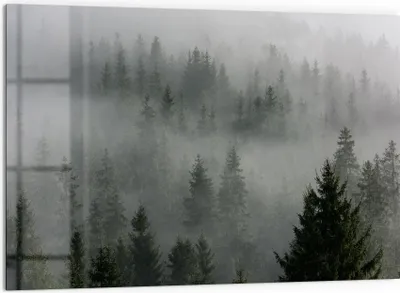 Produktbild von DEQORI Küchenrückwand Glas 60x40 cm 'Nebelwaldmystik' Spritzschutz Bad Rückwand Küche