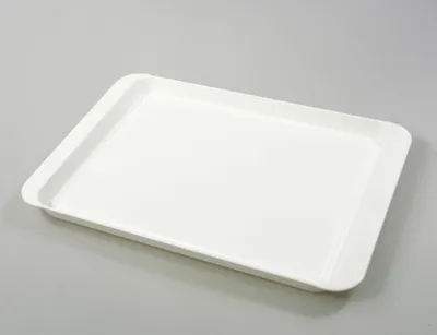 Obrázek produktu pro Podnos PH 32x22cm bílý CZ