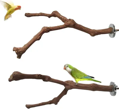 Productafbeelding van Vogelzitstokken set van 2, natuurlijk druivenhout, 23-30 cm, veilig en stevig, voor klimmen en spelen