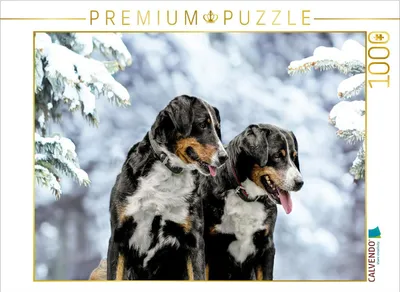 Produktbild von CALVENDO Puzzle Winterzeit | 1000 Teile Lege-Größe 64x48cm Foto-Puzzle für glückliche Stunden