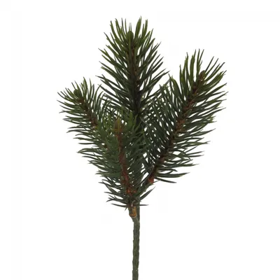 Produktbild von Künstliche Tannenzweige "REAL" 24cm. 24 Tannenzweige mit 4 Trieben