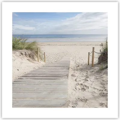 Produktbild von Poster - Poster ohne Rahmen - Strand Düne Eintritt - 40x40 cm - Wand Bild - Wanddeko - Wandbilder - Kunstposter - Wandposter - Bilder - Kunstdruck - Wanddekoration - Wandbild - P2XAC40x40-4188
