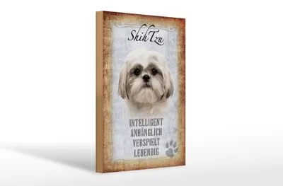 Produktbild von Holzschild Spruch 20x30cm Shih Tzu Hund Schild