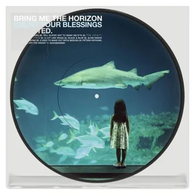 Produktbild von Bring Me The Horizon: Count Your Blessings | Repented (remastered) (Indie Exclusive Edition) (Picture Disc) - (LP / C)