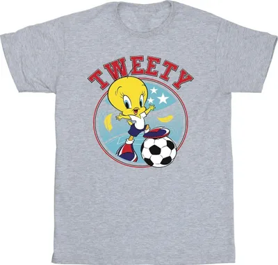 Produktbild von Looney Tunes - T-Shirt für Herren BI36272 (S) (Grau)