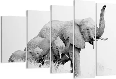 Produktbild von Bild auf Leinwand - Leinwandbild - 5 Teile - Elefanten Familie Schwarz und Weiß - 150x100cm Wand Bild Wanddeko Wandbilder Leinwanddruck Bilder Wanddekoration Leinwand bilder EG150x100-4374