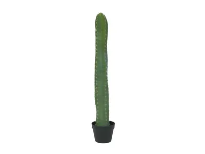 Obrázek produktu pro EUROPALMS Mexický kaktus, umělá rostlina, zelená, 97cm (82801070)