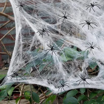 Produktbild von Halloween Deko Spinnennetz 100g mit 30 Spinnen für Grusel Partyzubehör