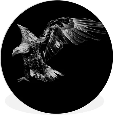 Produktbild von MuchoWow® Rundes Wandbild - Runde Bilder Adler - Vogel - Schwarz - Weiß Ø 60 cm Kreis Wanddekoration Kunststoff - Wandkreis - Wandschmuck - Wand Kreis - Das Schlafzimmer - Die Bilder - Wandmalerei - Kunst für das Haus - das Plastik