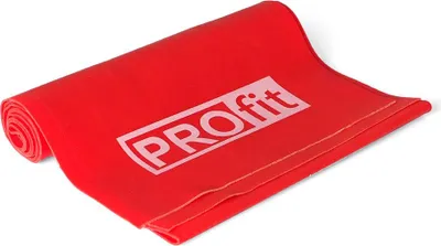 Zdjęcie produktu dla ND05_G1394 DK 2227 Guma Fitness Profit 120*15*0,5