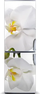 Produktbild von Tulup Kühlschrankdekoration - Magnetmatte - 60 cm x 180 cm - Magnet auf dem Kühlschrank - Weisse Orchidee