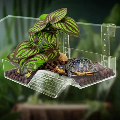 Produktbild von Schwimmende Plattform für Schildkröten und Reptilien