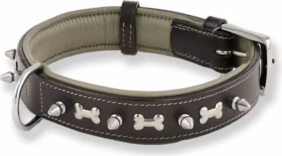 Produktbild von Monkimau Hundehalsband aus Leder Halsband für Hunde Lederhalsband schwarz Nieten M