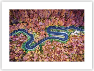 Produktbild von Poster - Poster ohne Rahmen - Kurvenreich Weg Wald - 40x30 cm - Wand Bild - Wanddeko - Wandbilder - Kunstposter - Wandposter - Bilder - Kunstdruck - Wanddekoration - Wandbild - P2XAA40x30-4291