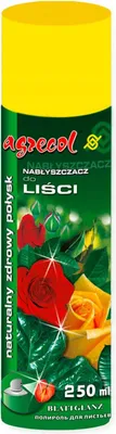 Zdjęcie produktu dla Nabłyszczacz aerozol do liści roślin 250 ml