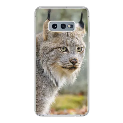 Produktbild von MuchoWow® Handyhülle Schutzhülle Hülle für Samsung Galaxy S10e Luchs - Wald - Grau Silikon Softcase Handy Hülle - Handy