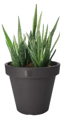 Produktbild von Pro Garden Blumentopf - anthrazit - rund - D20 cm - Kunststoff - Pflanztopf - Garten im Freien