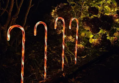 Four illuminated candy cane garden stakes are placed in the ground at night, with a bush and lights in the background.