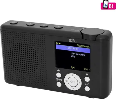 Imagen del producto de Radio de internet SAL INR3000