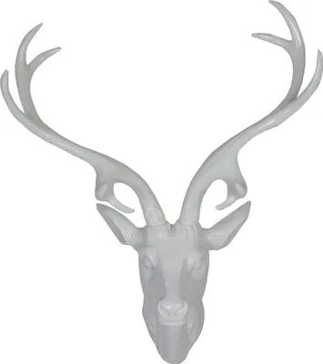 Produktbild von Hirschgeweih aus Polyresin in weiß Größe wählbar Wanddeko shiny Geweih