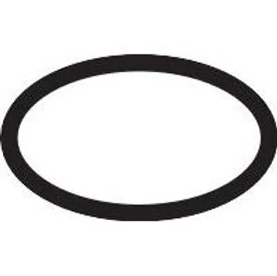 Produktbild von Hansgrohe O-Ring 16 x 2,5