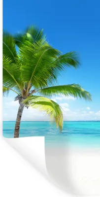 Produktbild von MuchoWow® Wandtattoo Wandsticker Wandaufkleber Palme - Strand - Meer - Sommer 80x160 cm Selbstklebend und Repositionierbar - Sticker - Dekorfolie