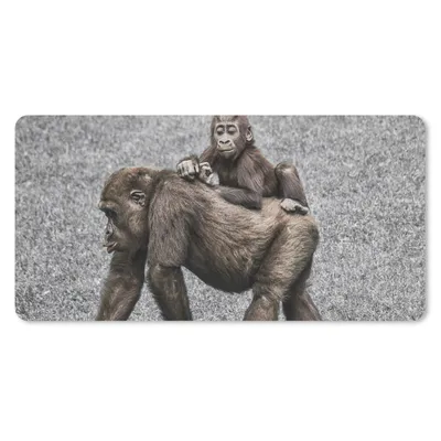 Produktbild von MuchoWow® Mauspad Mousepad Affen - Landschaft - Mantel 60x30 cm - Mousepads - Maus Mat - Pad - Mausunterlage - Nachhaltig