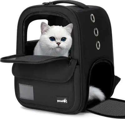 Image de Sac à dos pour animaux de compagnie - Sac de transport pour chats - Voyage sûr - Conception respirante - 42x32x30 cm - Noir