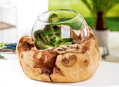 Produktbild von Gilde Windlicht, "Davao", Holz, naturfarben, , H. 16 cm, D. 20 cm  51482