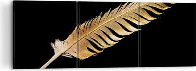 Produktbild von Bild auf Leinwand - Leinwandbild - 3 Teile - Golden Feder Schwarz - 120x40cm - Wand Bild - Wanddeko - Wandbilder - Leinwanddruck - Bilder - Wanddekoration - Leinwand bilder - Wandbild - CA120x40-4887