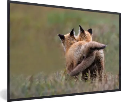 Produktbild von MuchoWow® MuchoWow® Gerahmtes Poster Fuchs - Gras - Tiere 90x60 cm - Poster mit zchwarzem Bilderrahmen - Fotorahmen - Foto-Plakat