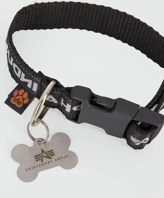 Produktbild von Famanu Hundehalsband stilvoll schwarz-grau - Verstellbar und komfortabel