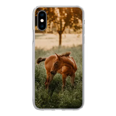 Produktbild von MuchoWow® Handyhülle Schutzhülle Hülle für iPhone X Pferd - Gras - Baum Silikon Softcase Handy Hülle - Handyhülle