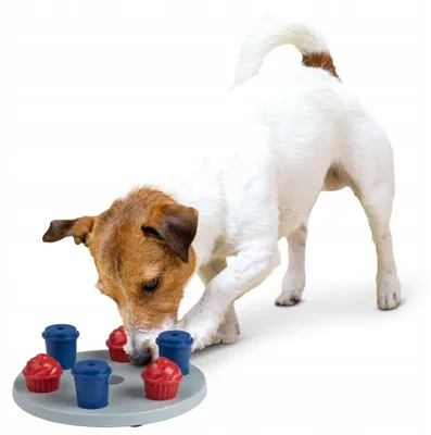 Produktbild von ZOOFARI Intelligenzspielzeug für Hunde, Labyrinth-Spielzeug