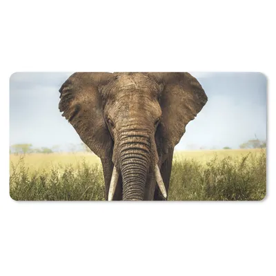 Produktbild von MuchoWow® Schreibtischunterlage Elefant - Gras - Tiere - Natur 80x40 cm - XXL Mauspad - Gaming Mauspad