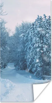 Produktbild von MuchoWow® Poster Wald - Schnee - Winter 60x120 cm - Wandschmuck