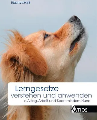 Obrázok produktu pre Lerngesetze verstehen und anwenden