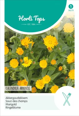 Produktbild von Ringelblume Calendula Arvensis | Ringelblumensamen von Hortitops