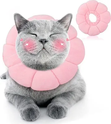Produktbild von Famanu Katzenhalsband verstellbar - weiche Sonnenblume