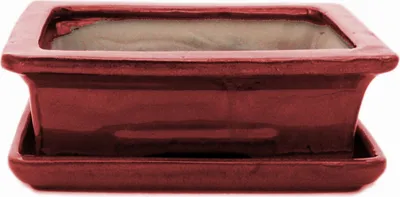Image de bol bonsaï avec soucoupe taille 3 - rectangulaire g29 - rouge - l 18cm - b 13cm - h 6cm