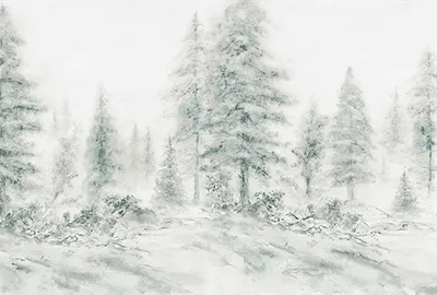 Produktbild von Tadessi Fototapete | Wald | 4.00 m x 2.70 m | Grau | Weiß | Wandbild | Digitaldruck