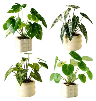 Produktbild von 4er-Set Kunstpflanze im Topf, 25 cm Künstliche Pflanzen Klein Deko für Wohnzimmer, Schlafzimmer, Badezimmer