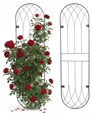 Immagine prodotto di Relaxdays Graticcio, set da 2, Dom, graticcio da parete HxL 140 x 38 cm, supporto per piante rampicanti, montaggio a parete, acciaio, nero